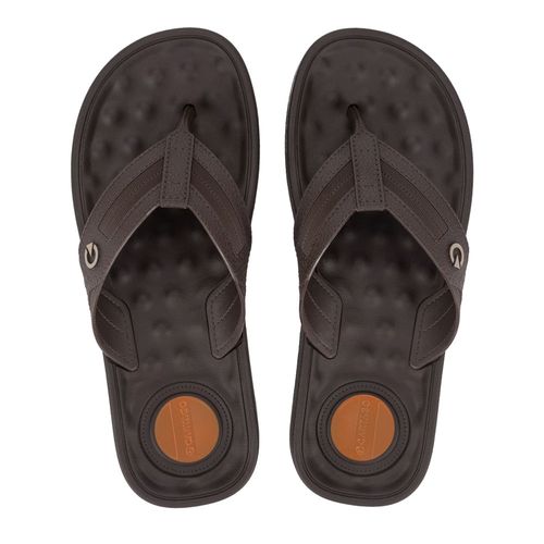 Chinelo Masculino Grendene Cartago Alabama Marrom Escuro