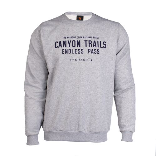 Moletom Masculino Desayner Estampa Frontal Cinza Mescla